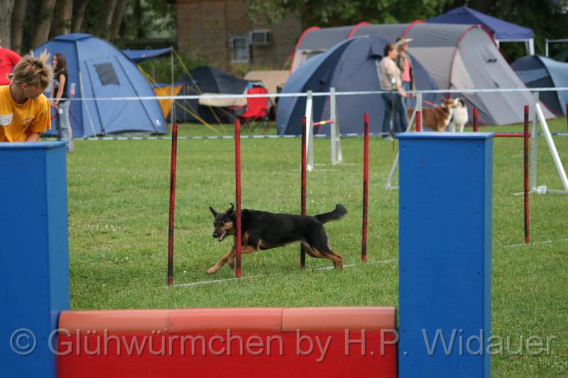 gluehwuermchen08 094 (96).jpg